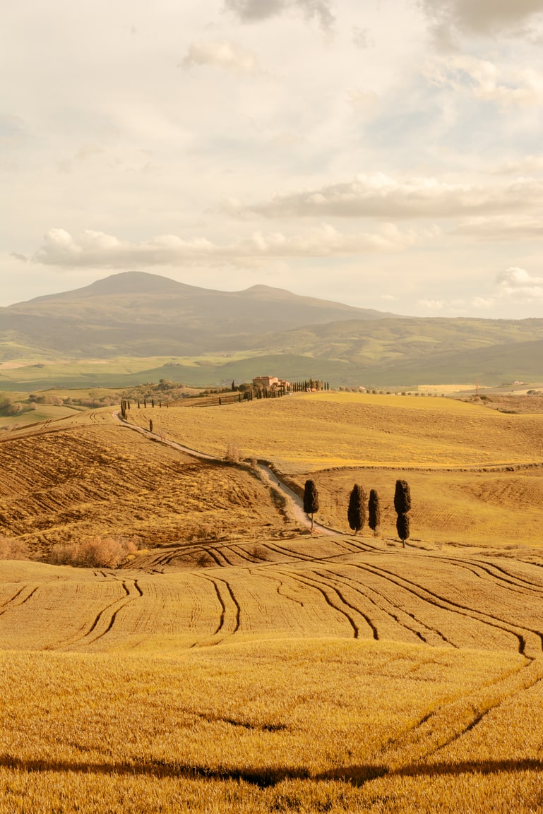 Paesaggio Toscana